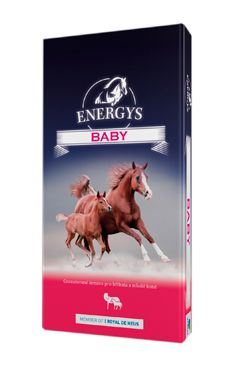 Krmivo pro koně ENERGYS Baby granulované 25kg